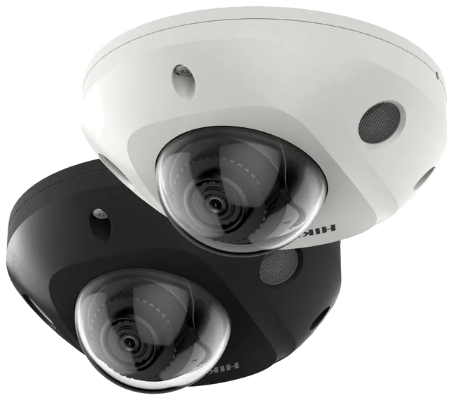 DS-2CD2546G2-I(WS)